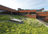 Green Roofing 01